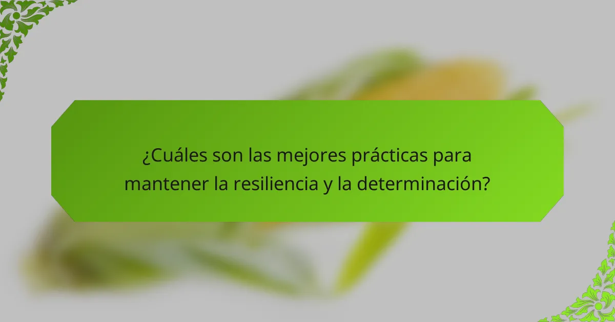 ¿Cuáles son las mejores prácticas para mantener la resiliencia y la determinación?