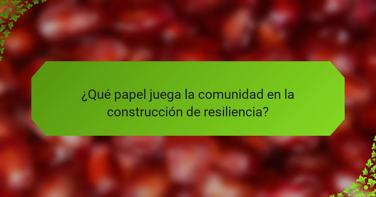 ¿Qué papel juega la comunidad en la construcción de resiliencia?