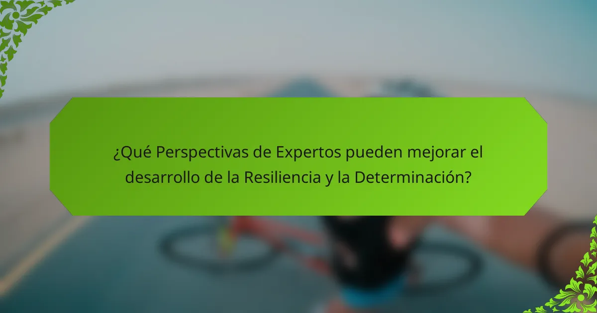 ¿Qué Perspectivas de Expertos pueden mejorar el desarrollo de la Resiliencia y la Determinación?